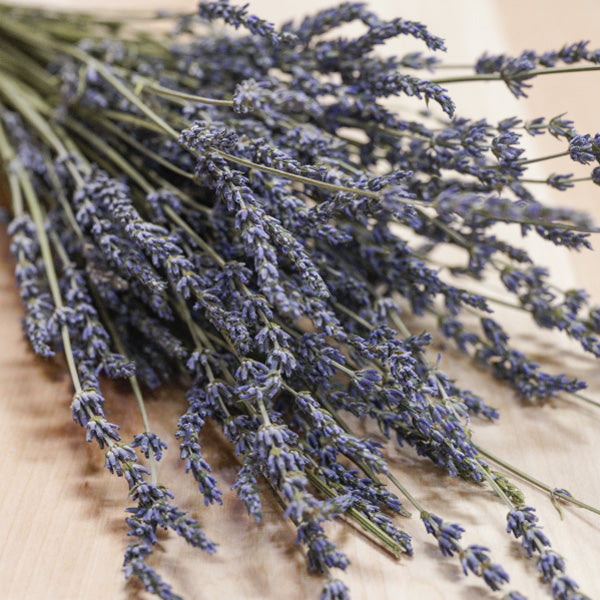 Lavender Bouquet