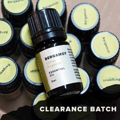 Bergamot Essential Oil (Clearance Batch)