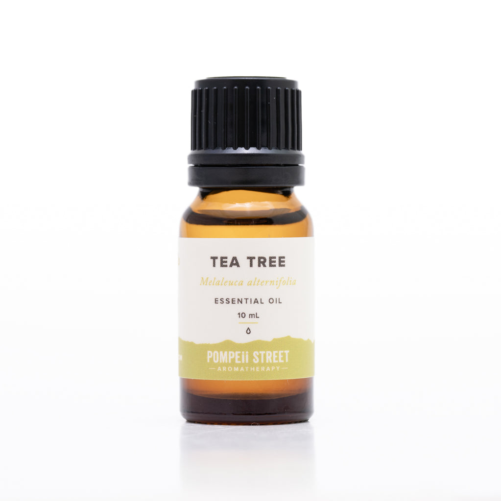 Tea Tree Essential Oil Pompeii Street Soap Co. Tea Tree Essential Oil Pompeii Street Soap Co.
