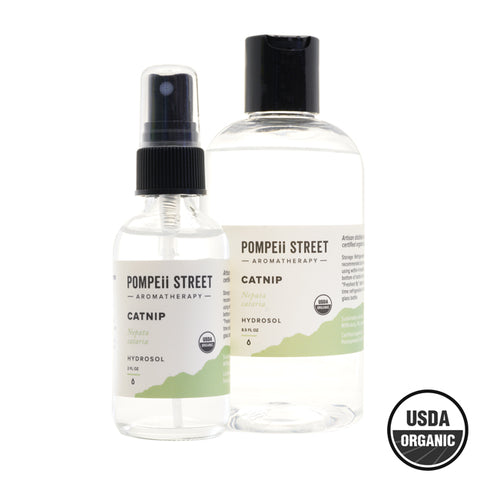 Glass Serum Bottle (1 oz) – Pompeii Street Soap Co.