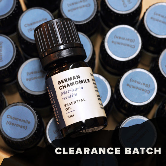 Chamomile (German) Essential Oil (Clearance Batch)