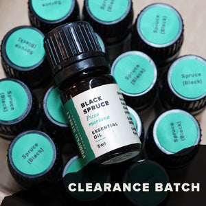 Spruce (Black) Essential Oil (Clearance Batch)