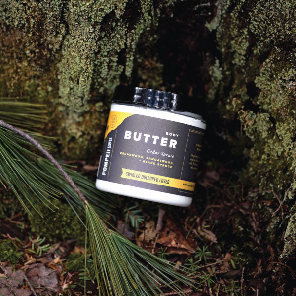 Cedar Spruce Body Butter